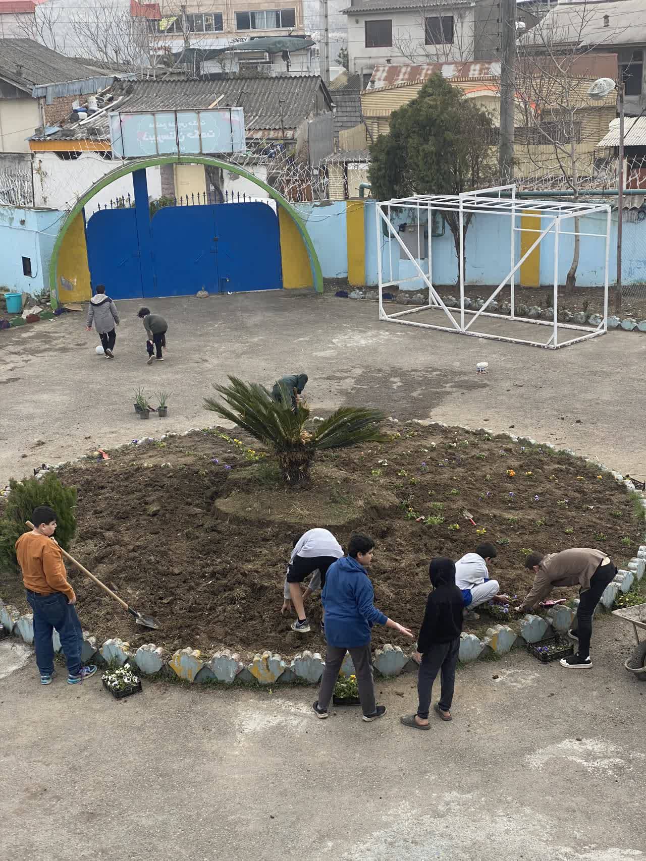 برنامه های عمومی